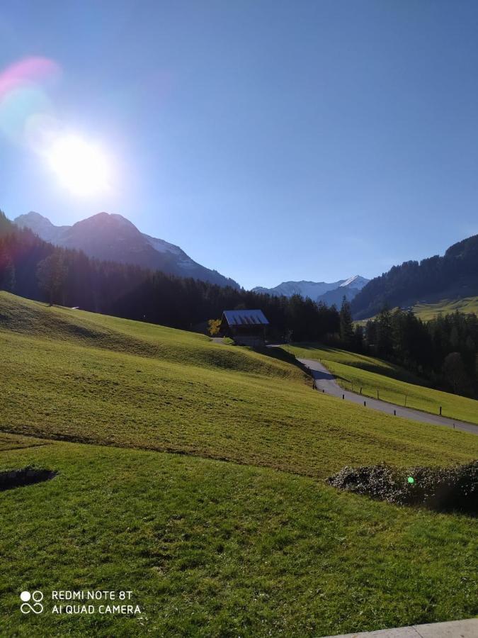Ferienhaus Schwendle Villa Mittelberg Eksteriør billede